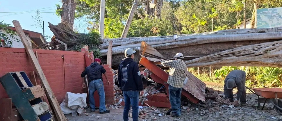 Enorme árbol se desploma por fuertes vientos y destruye muro perimetral en Ahuachapán