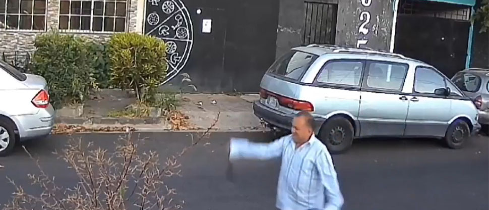 Denuncian a sujeto captado maltratando brutalmente a un gatito en la colonia Guatemala