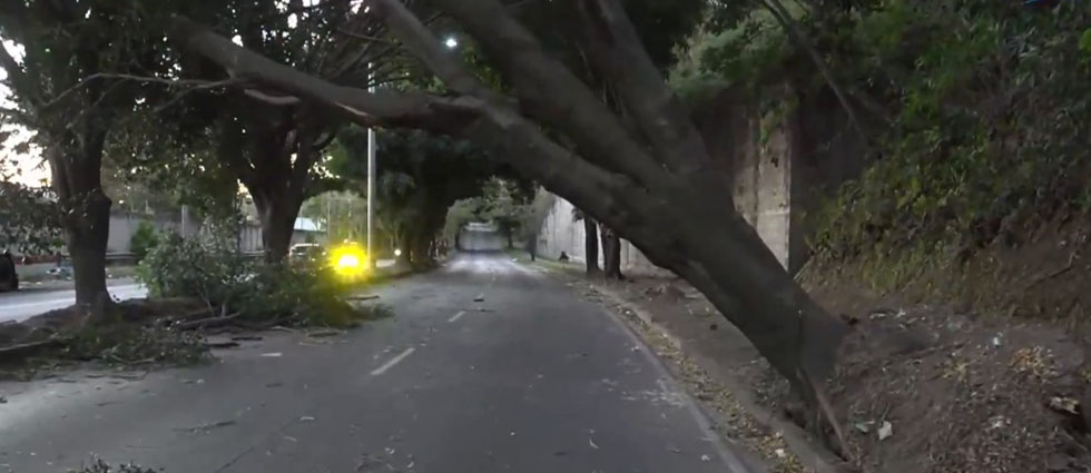 Paso sobre bulevar Sur de Santa Tecla permanece cerrado tras caído de un árbol
