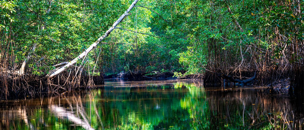 Anuncian cierre temporal del canal El Zapatero en La Barra de Santiago