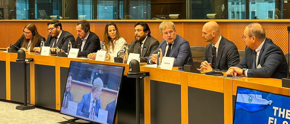 Vicepresidente Ulloa expone a eurodiputados el caso de El Salvador