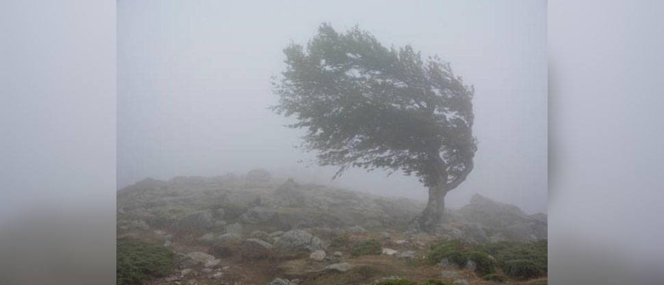 El Salvador registró las temperaturas más bajas en los últimos 38 años