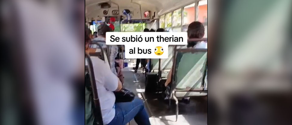 Viralizan en redes sociales video de un curioso pasajero que viajaba en un bus a Izalco