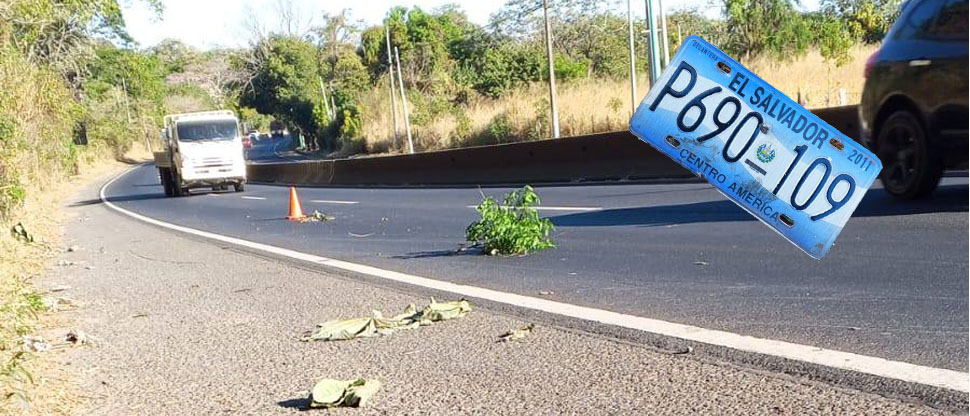 Buscan a conductor que «se pasó llevando» 2 conos, una motosierra, un extintor y dejó su placa
