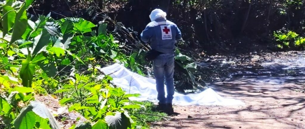 Adulto mayor pierde la vida tras sufrir múltiples picaduras de abeja en Quezaltepeque