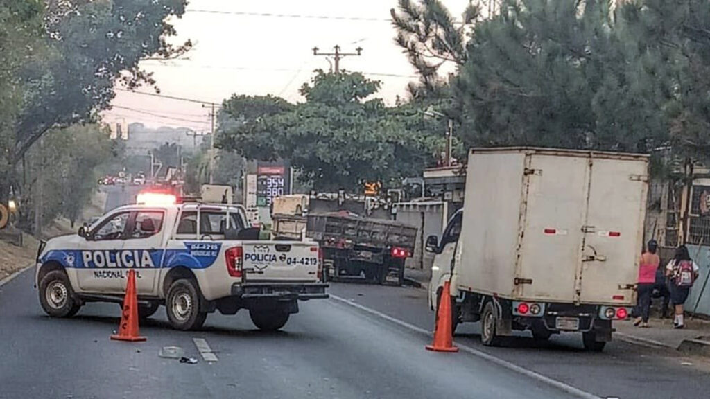 Motociclista fallece tras ser embestido por un cabezal en la Panamericana