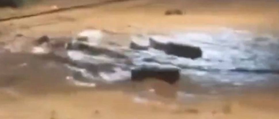 Brasil: captan cajas de muertos flotando en el agua tras potente lluvia