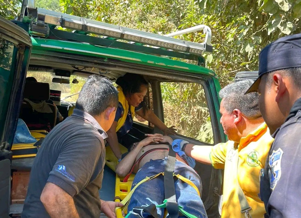 Atienden a varios lesionados por picaduras de abejas en Usulután