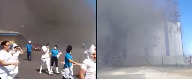 Empleados de empresa atunera seguirán recibiendo su salario mientras se restablecen operaciones