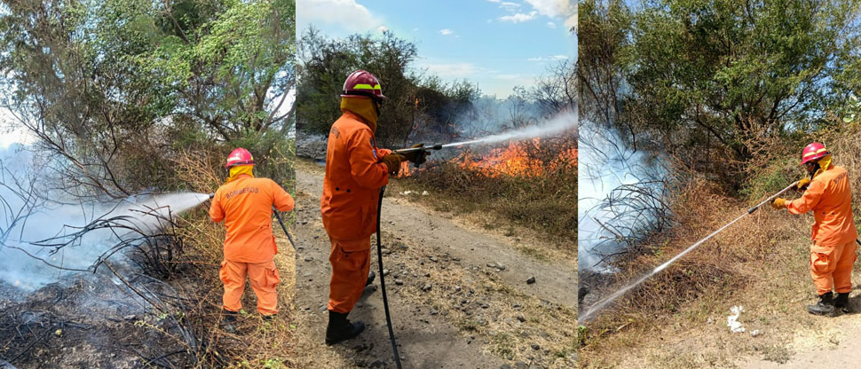 Bomberos sofocan un incendio de maleza seca en La Paz