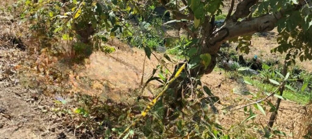 Bebé muere tras caer en una canaleta en Sonsonate