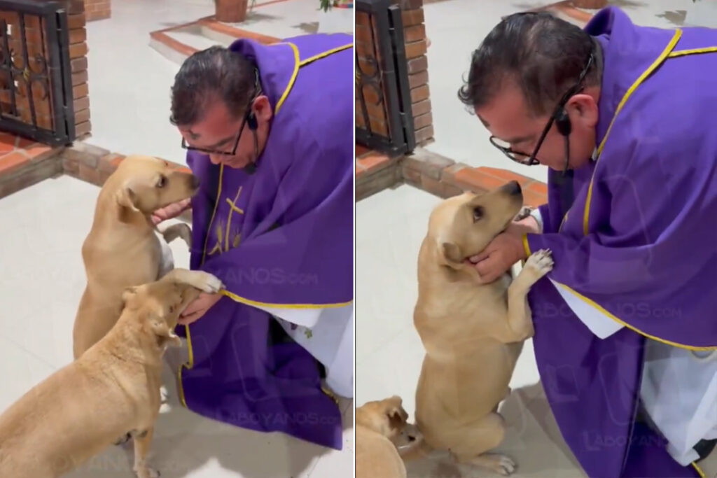 Aplauden a sacerdote que a la salida de la iglesia bendice a los perritos de la calle