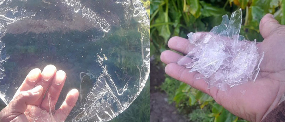 Comparten imagen de la escarcha que se ha formado en El Pital