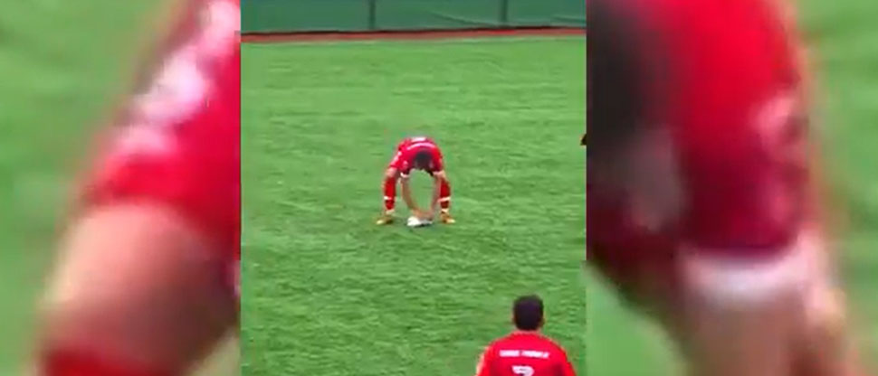 Insólito: jugador revive a una gaviota quién después de recibir un pelotazo quedó inconsciente