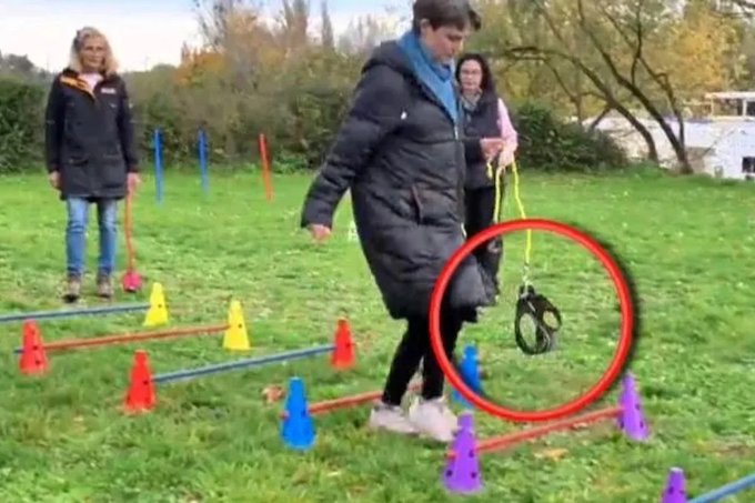 De therians a pasear perros imaginarios: conoce las nuevas tendencias