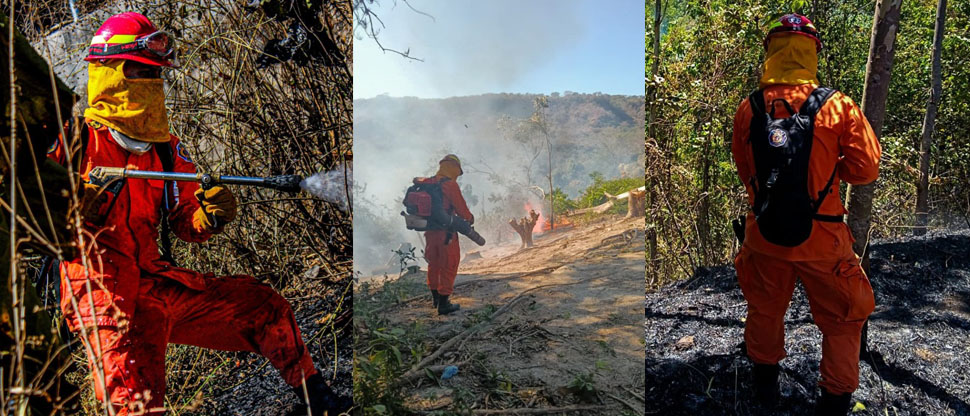 Bomberos atiende tres incendios de maleza seca