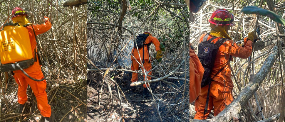 Bomberos controlan incendio de maleza seca en La Paz