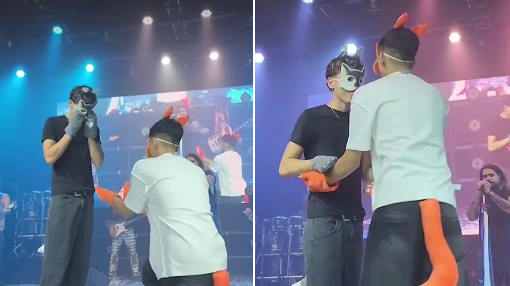 Jóvenes therian se comprometen durante un concierto en Argentina