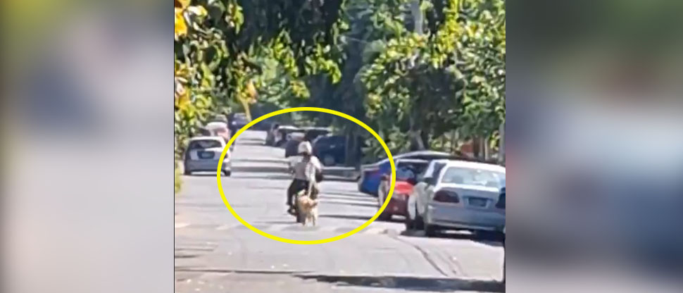 Denuncian a sujeto por ir en motocicleta y jalar a su perro con una correa atada para que lo siga