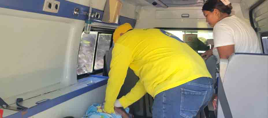 3 Personas lesionadas tras ser picados por abejas en La Paz