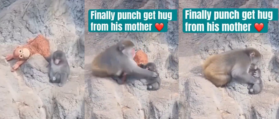 Finalmente, Punch recibe el abrazo de su madre