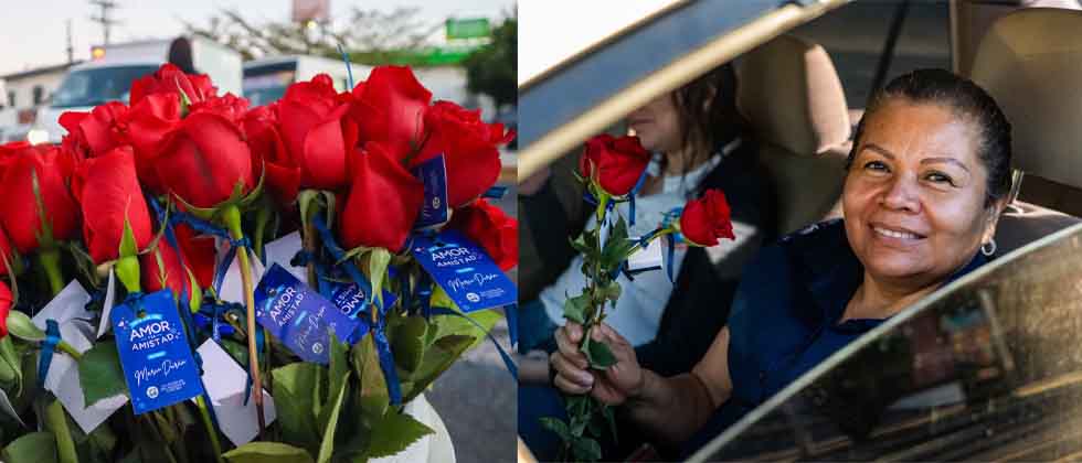 Alcaldía de San Salvador entrega cientos de rosas este día de San Valentín