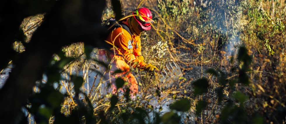 Bomberos sofocan incendio originado a un costado de la calle al Volcán
