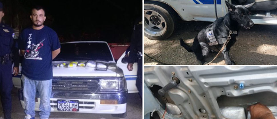 Agente canina localiza drogas en vehículo y permite la captura de ciudadano guatemalteco