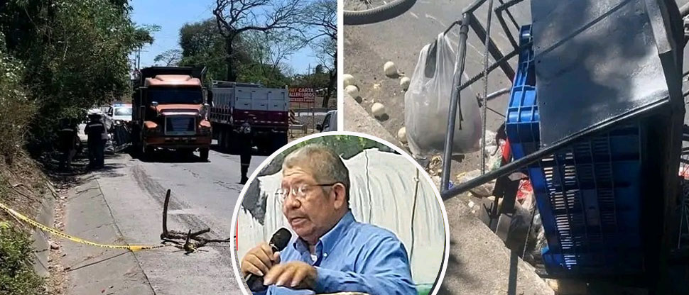 Se ganaba la vida vendiendo verduras en su carretón, pero un conductor le arrebató la vida