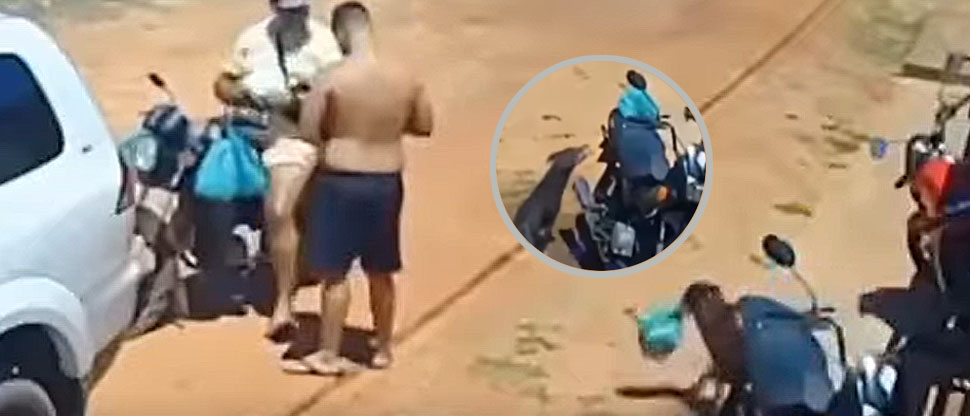 “Firulais” aprovecha un descuido y se lleva el pan que un hombre compró para su desayuno
