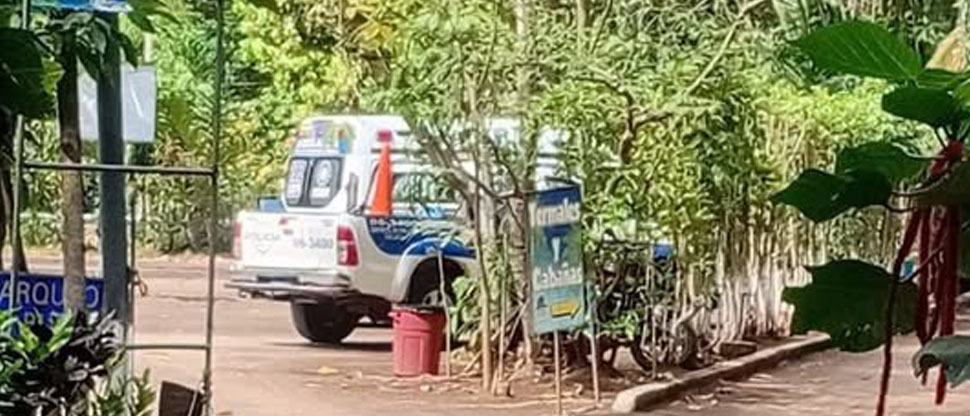 Ataque de abejas en turicentro de Caluco deja como saldo varios lesionados