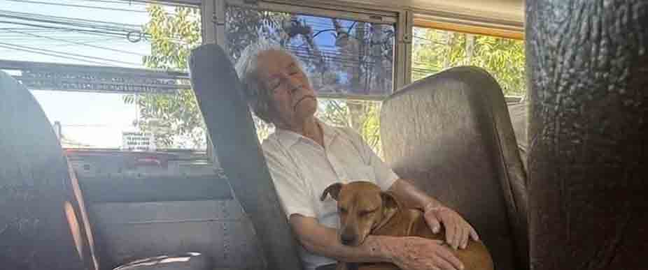 Viralizan a abuelito con su perrito viajando en el transporte público