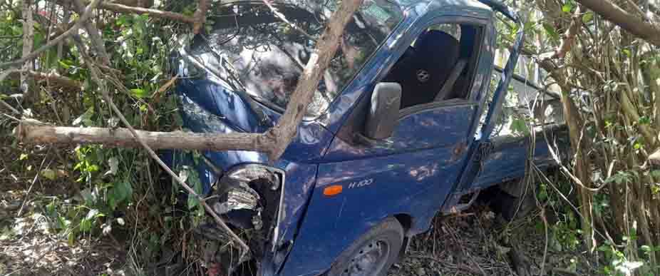 Conductor de camión pierde el control y choca contra árboles en carretera Litoral