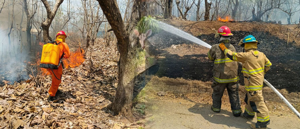 Bomberos sofocan incendio de maleza seca en San Vicente