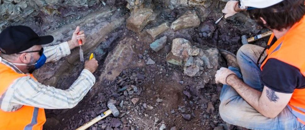Brasil: encuentran restos de un dinosaurio con parientes europeos