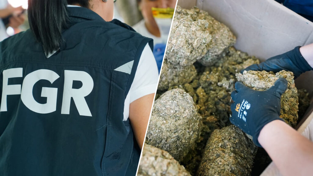 Verifican droga que será destruida esta tarde por las autoridades