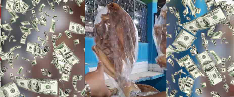 Ofrecen pescado seco desde los 80 hasta los 200 dólares