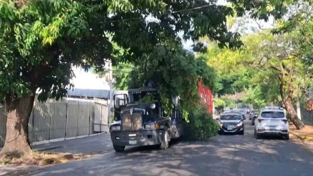Rastra queda atascada tras caída de rama en San Salvador
