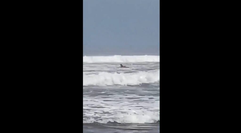 Rescatan a surfista canadiense en el Majahual