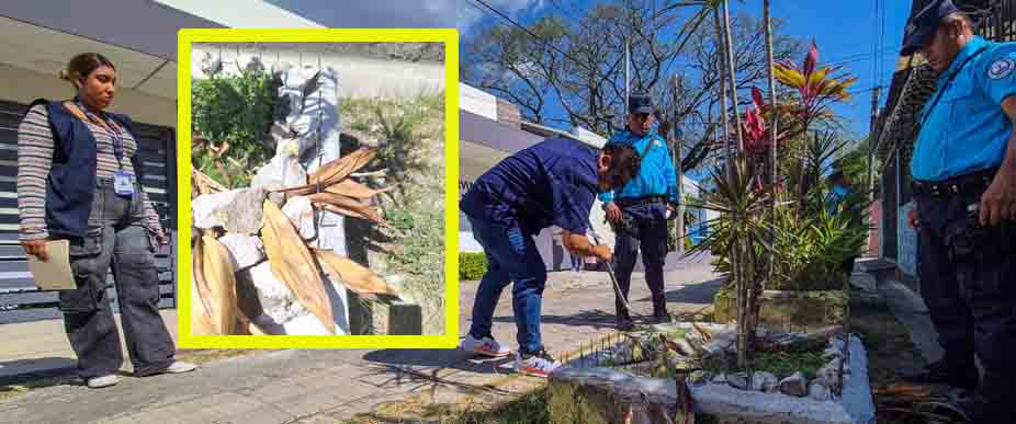 Sancionan a mujer por colocar clavos en su jardín frente a una parvularia