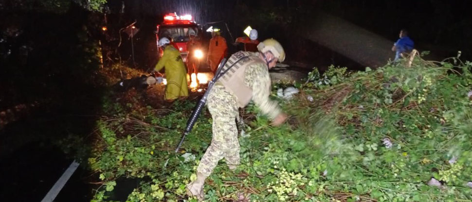 Remueven árbol caído debido a las intensas lluvias en Cabañas