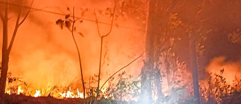 Bomberos sofoca voraz incendio en Cabañas esta madrugada de lunes