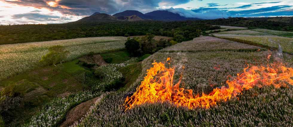 Prohíben quemas agrícolas en El Salvador ante riesgo extremo de incendios