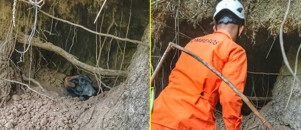 Rescatan a perrito tras quedar atrapado en una cavidad en un talud en los Planes de Renderos