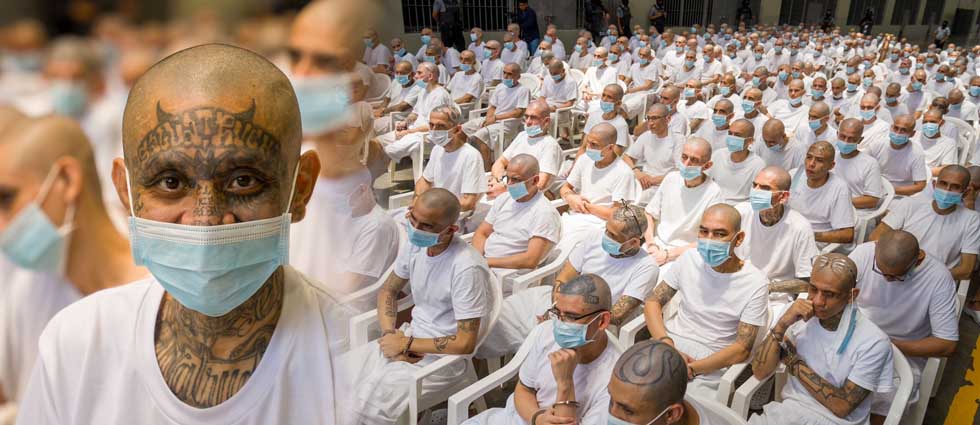 FGR procesa en audiencia abierta a 486 cabecillas de la MS-13: «Se les acusa de cometer más de 47,000 delitos»