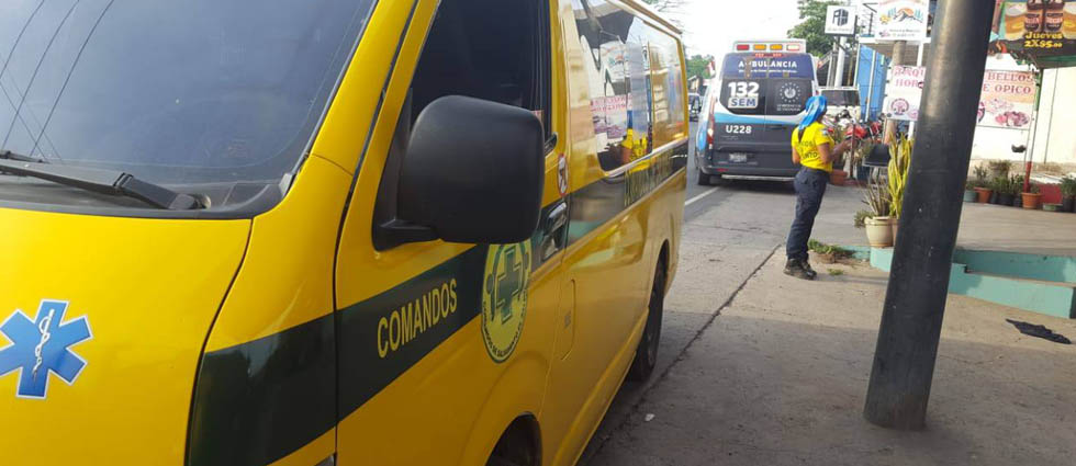 Abejas atacan a dos personas en La Libertad