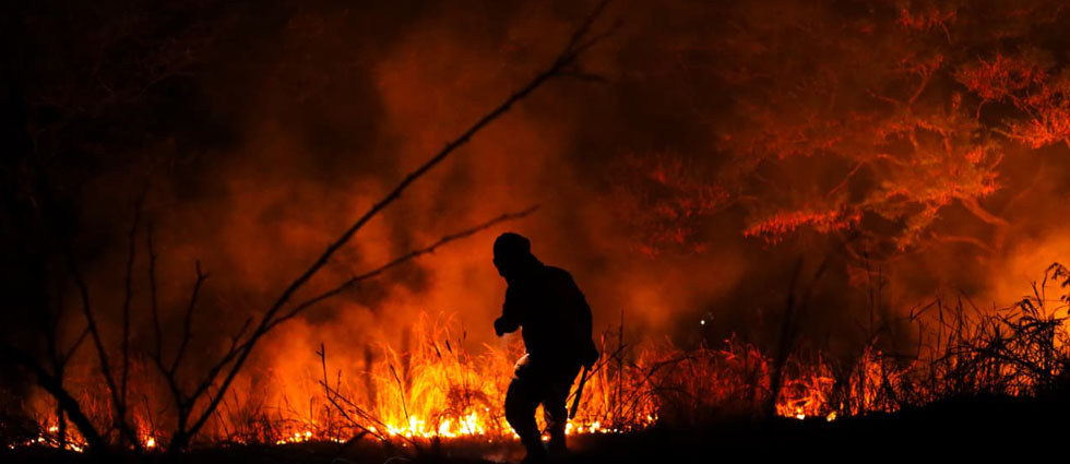 Incendios forestales aumentan más de un 100 % en El Salvador este 2026