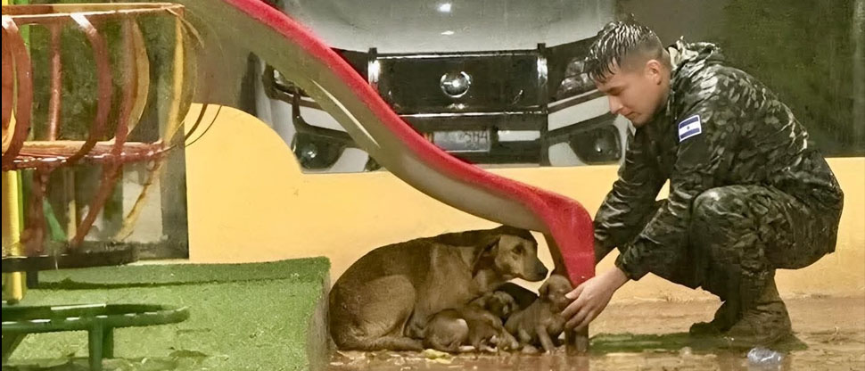 Soldado protege a perrita y sus cachorros de la fuerte lluvia en Chalatenango