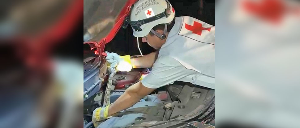 Conductor se lleva tremendo susto al descubrir una serpiente en su vehículo