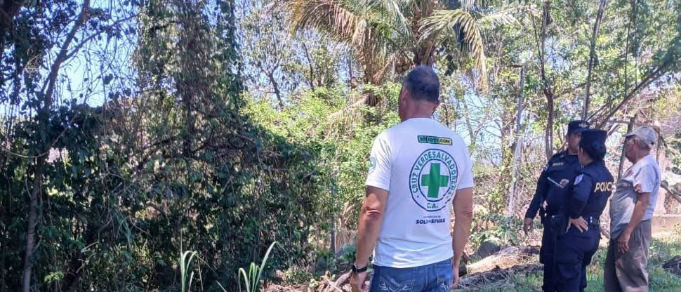 Mujer pierde la vida al caerle una rama mientras realizaba labores de poda